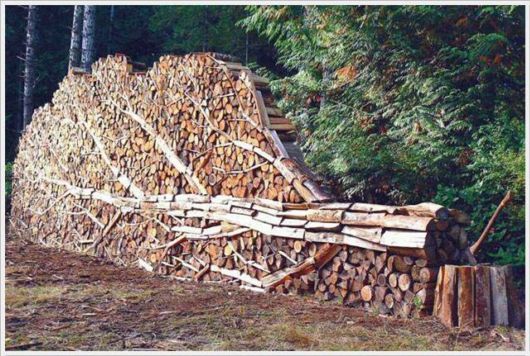 Funny Cool Pix Collection