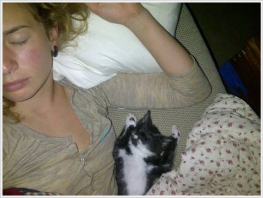 Funny Cool Pix Collection