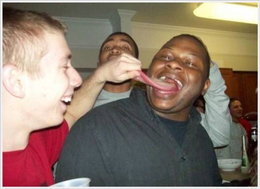 Funny Cool Pix Collection