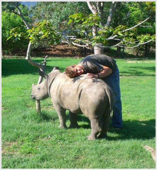 Funny Cool Pix Collection