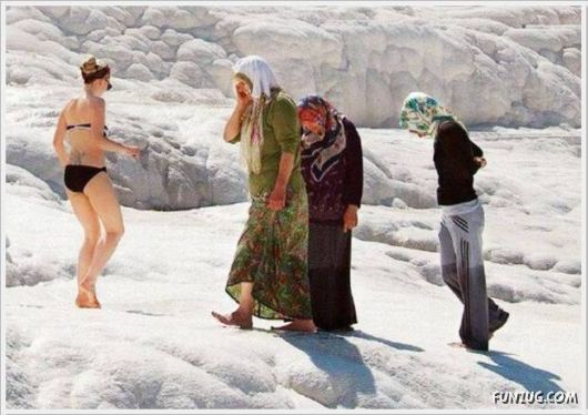 Super Cool Funny Pictures