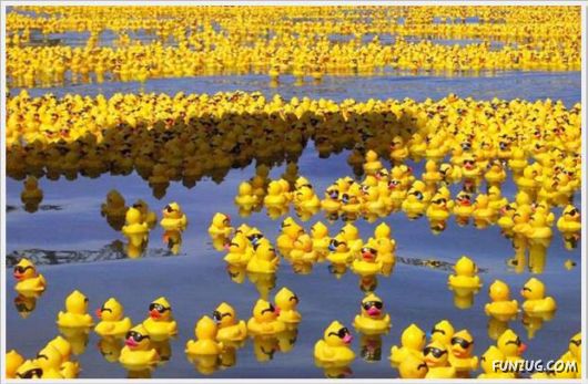 Super Cool Funny Pictures