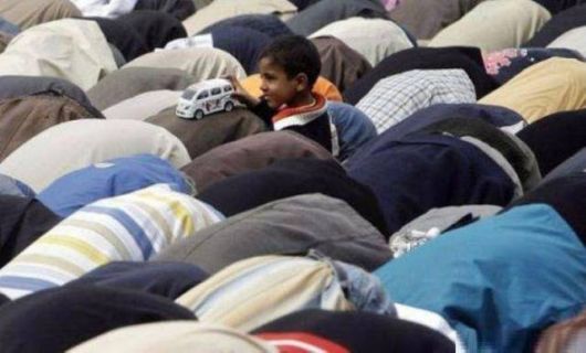 Truly Cool And Beautiful Pictures