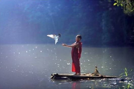 Truly Cool And Beautiful Pictures