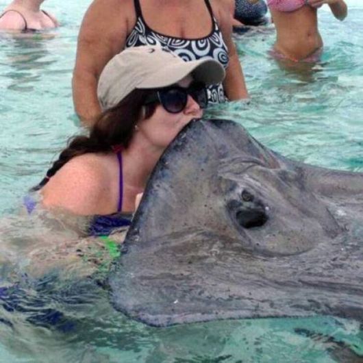 Truly Cool And Beautiful Pictures