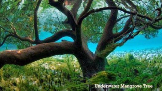 Truly Cool And Beautiful Pictures