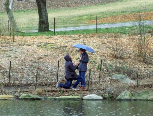 Truly Cool And Beautiful Pictures