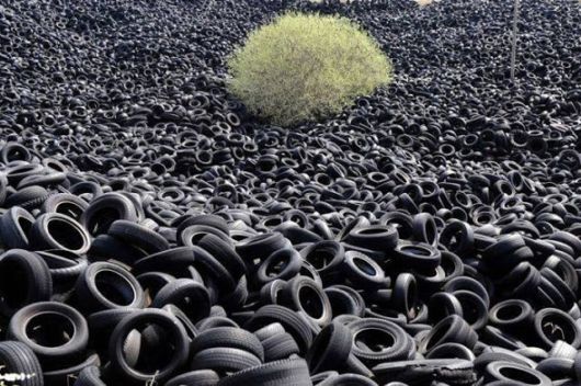 Truly Cool And Beautiful Pictures