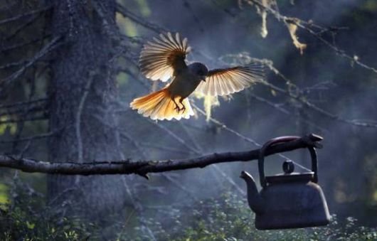 Truly Cool And Beautiful Pictures