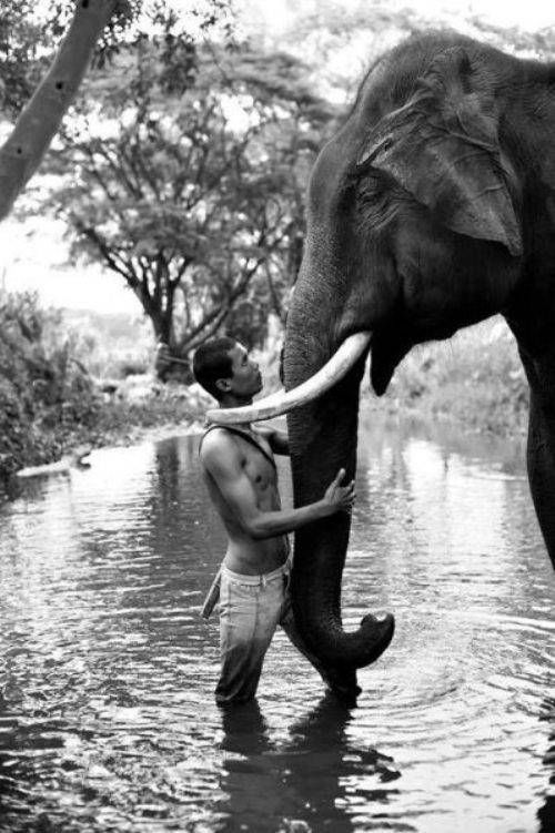 Truly Cool And Beautiful Pictures