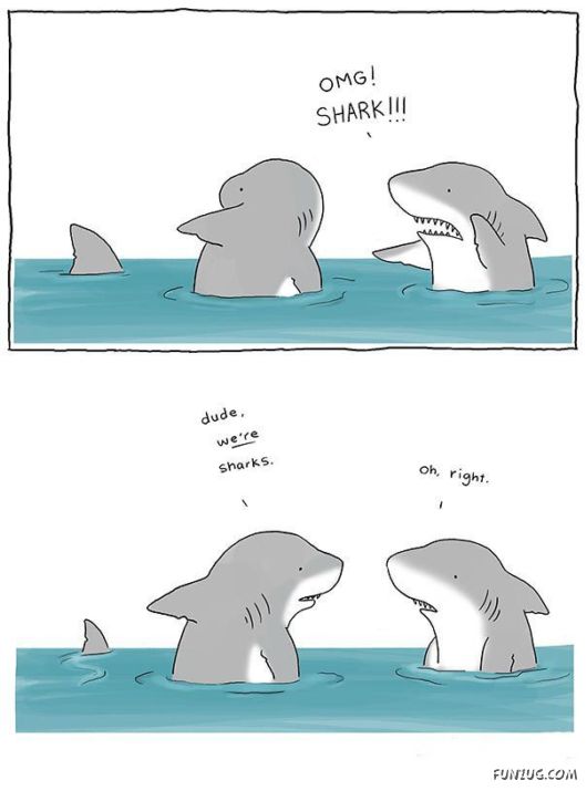 Incredibly Cute Animal Comics