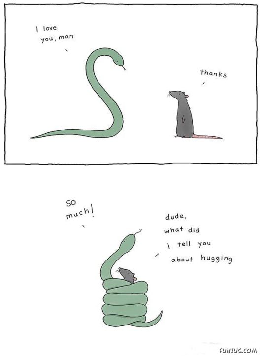 Incredibly Cute Animal Comics