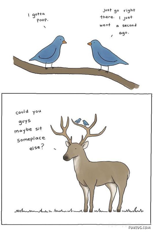 Incredibly Cute Animal Comics