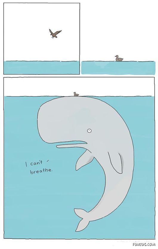 Incredibly Cute Animal Comics