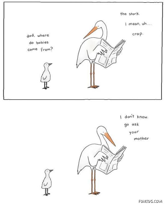 Incredibly Cute Animal Comics