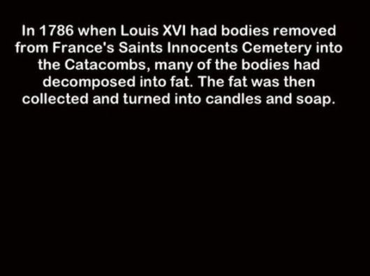 Interesting Facts You Must Know