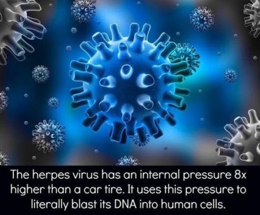 Interesting Facts You Must Know