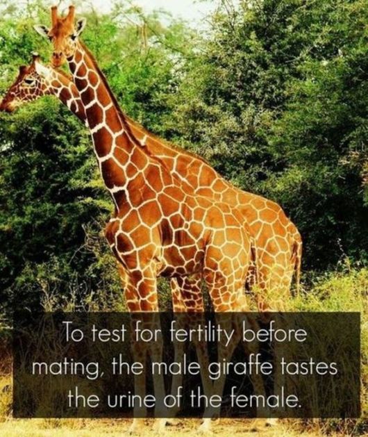 Interesting Facts You Must Know