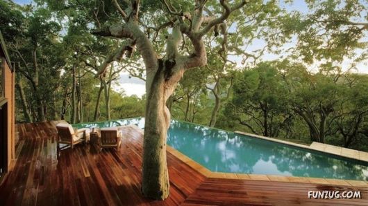 Most Spectacular Contemporary Home Swimming Pools