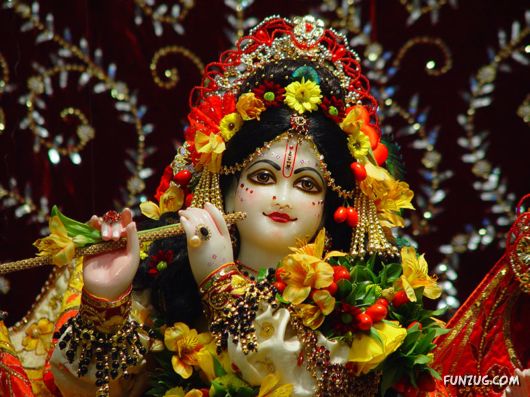 A Glimpse of Lord Krishna