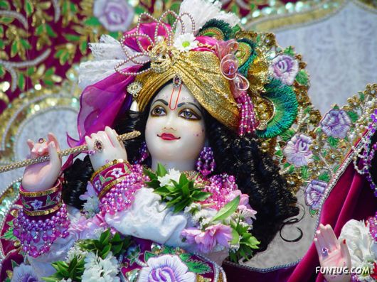 A Glimpse of Lord Krishna