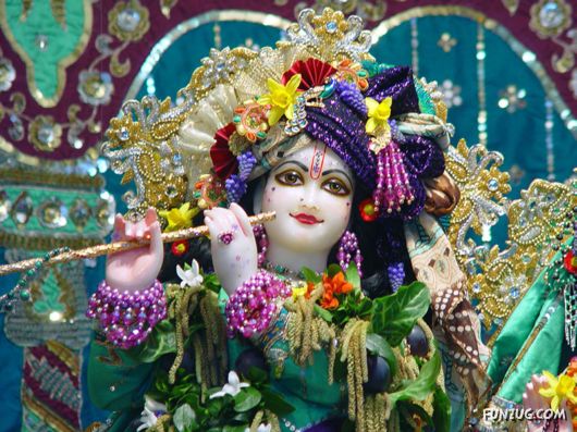 A Glimpse of Lord Krishna
