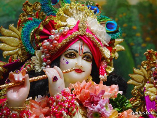 A Glimpse of Lord Krishna