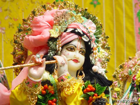A Glimpse of Lord Krishna