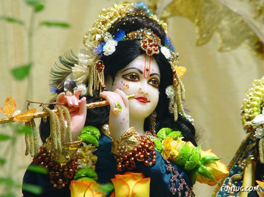A Glimpse of Lord Krishna