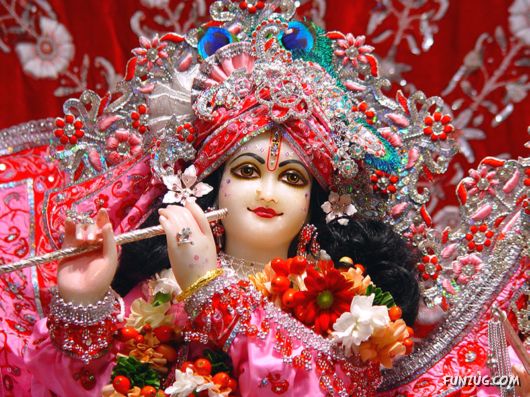 A Glimpse of Lord Krishna
