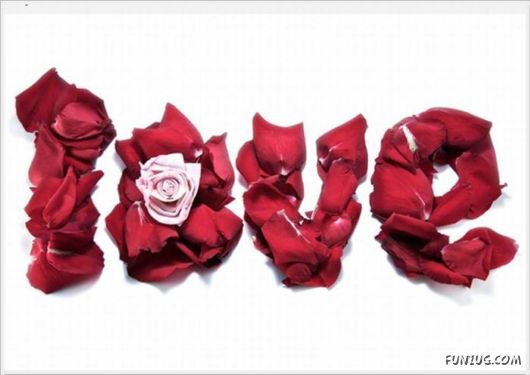 Happy Valentine's Day