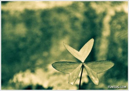 Happy Valentine's Day