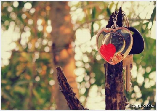 Happy Valentine's Day