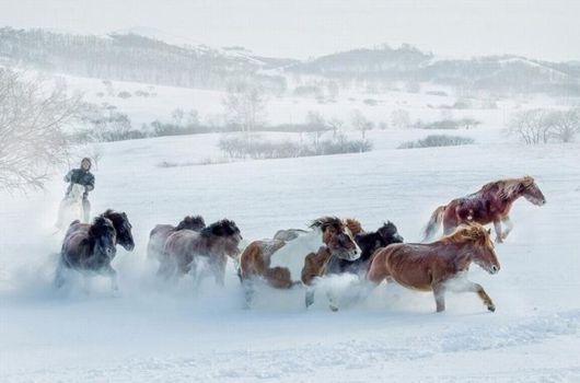 40 Incredible Moments In 2014