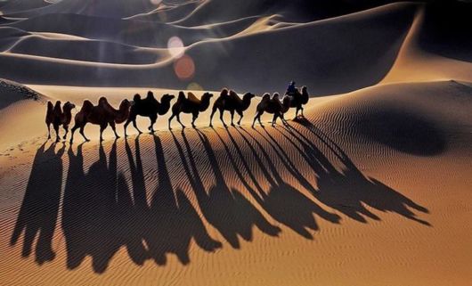 40 Incredible Moments In 2014