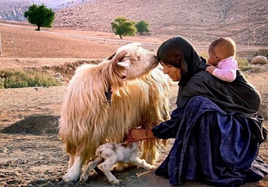 40 Incredible Moments In 2014