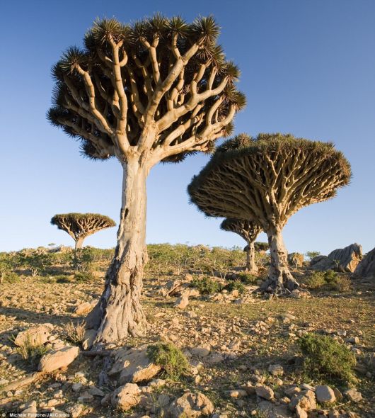 Alien Landscapes On The Earth