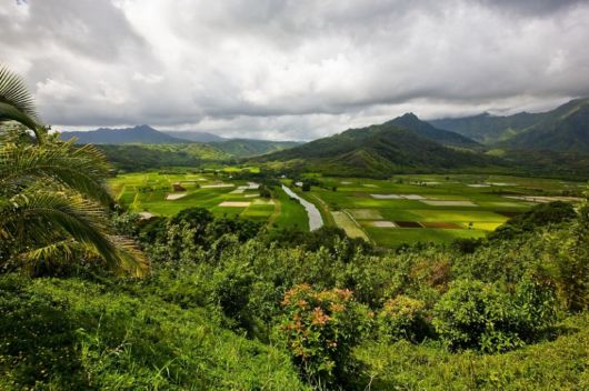 The Beautiful Valley Sceneries