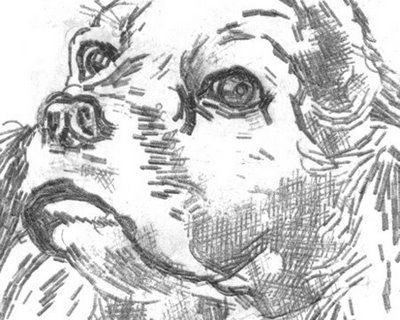 Amazing Drawings Created On Typewriter