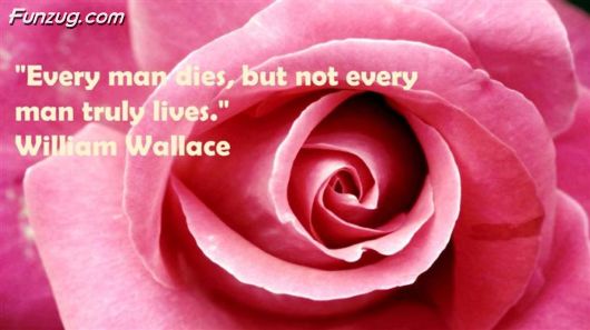 Short And Insightful Quotes About Life