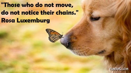 Short And Insightful Quotes About Life