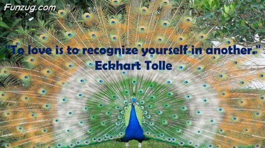 Short And Insightful Quotes About Life