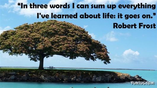 Short And Insightful Quotes About Life