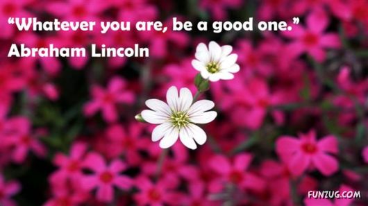 Short And Insightful Quotes About Life