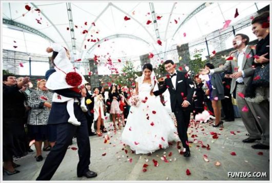 Assorted Beautiful Wedding Photos