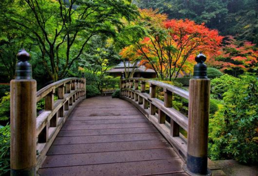 The Romantic Wooden Bridges