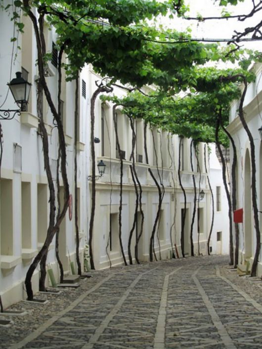 Top 15 Charming Side Streets