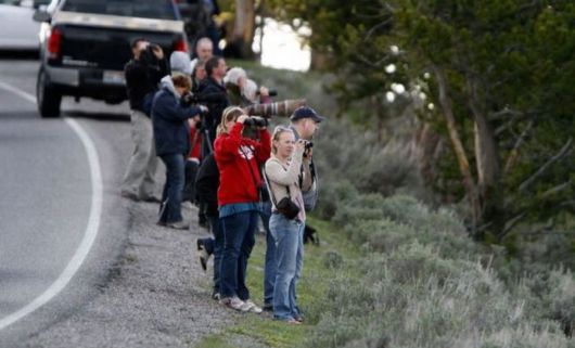 A Trip To Yellowstone National Park. USA