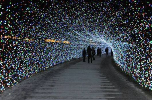 World's Largest Light Installation In Japan