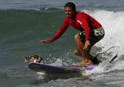 10 Unconventional Sport Games You Have To Try This Summer